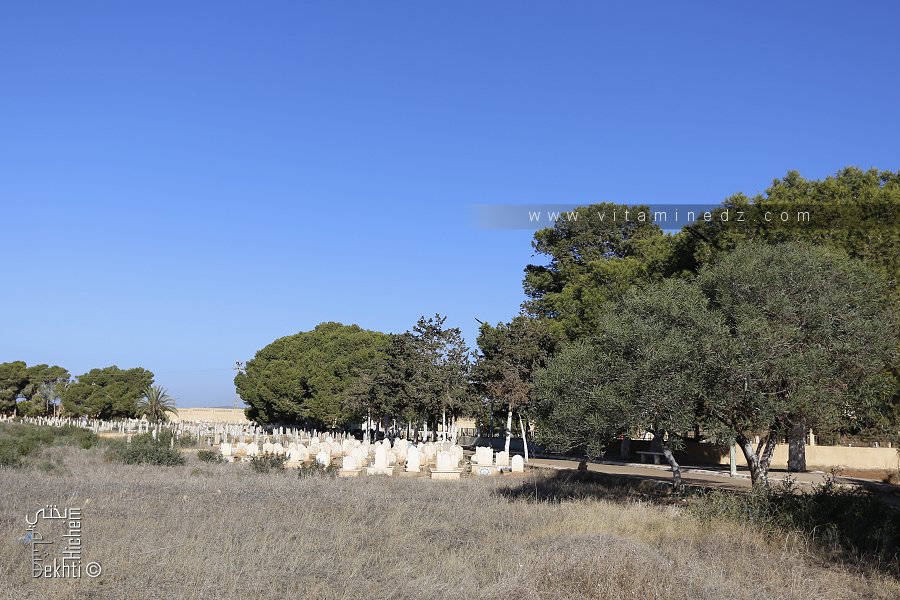 Cimetière musulman de Terga (Wilaya de Ain Temouchent)