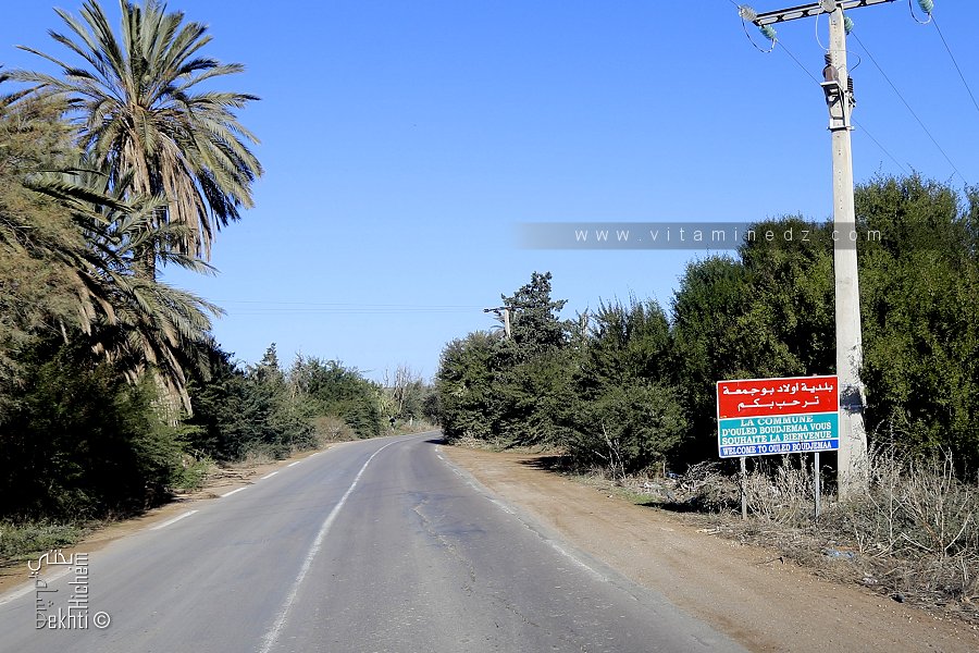 La Commune de Ouled Boudjemaa vous souhaite la bienvenue