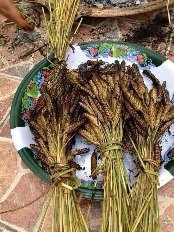 C'est quoi le Frick ?