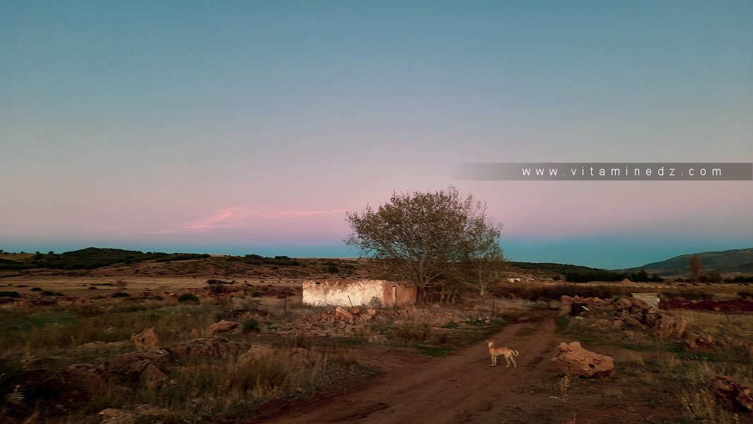 Petit chemin dans la nature à Terni Beni Hediel