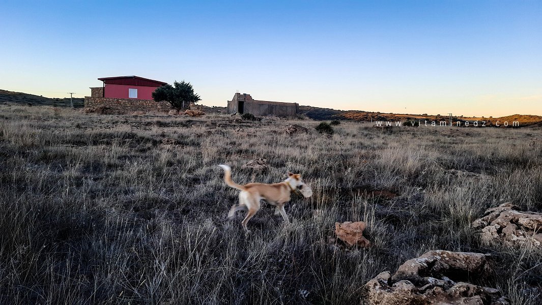 La petite maison dans la prairie (à Terny Beny Hediel)