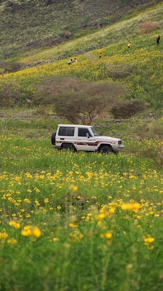 شمال مكة - المملكة العربية السعودية 🇸🇦🇸🇦🇸🇦 .