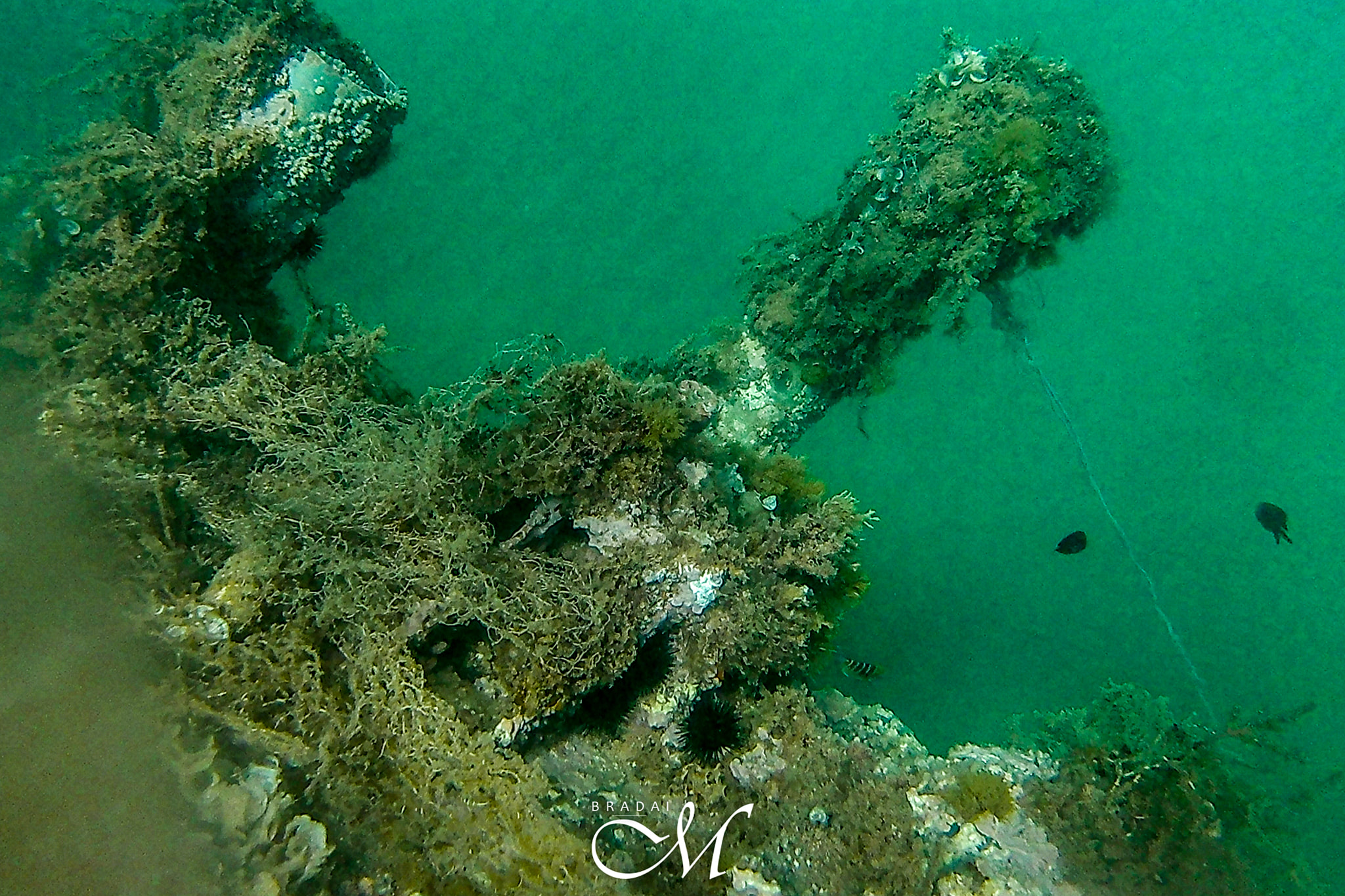 Le sous-marin nazi U-595 d'Achaacha