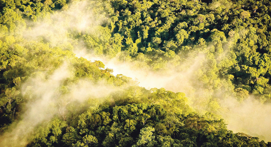 Planète (Amérique du Sud) - Les peuples autochtones d’Amazonie s’unissent pour sauver la dernière rivière volante