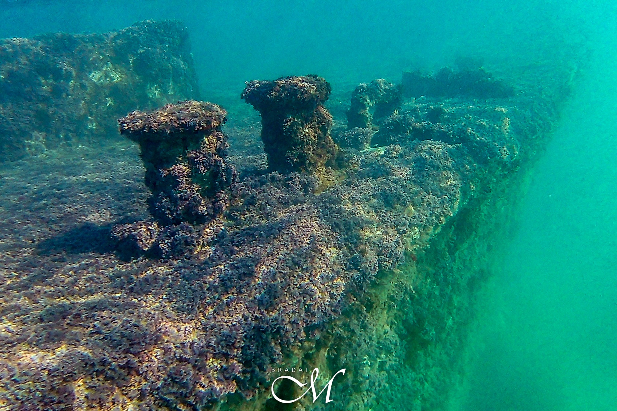 L'épave de Cretell et Cretecoal en Cap Rousseau, Oran