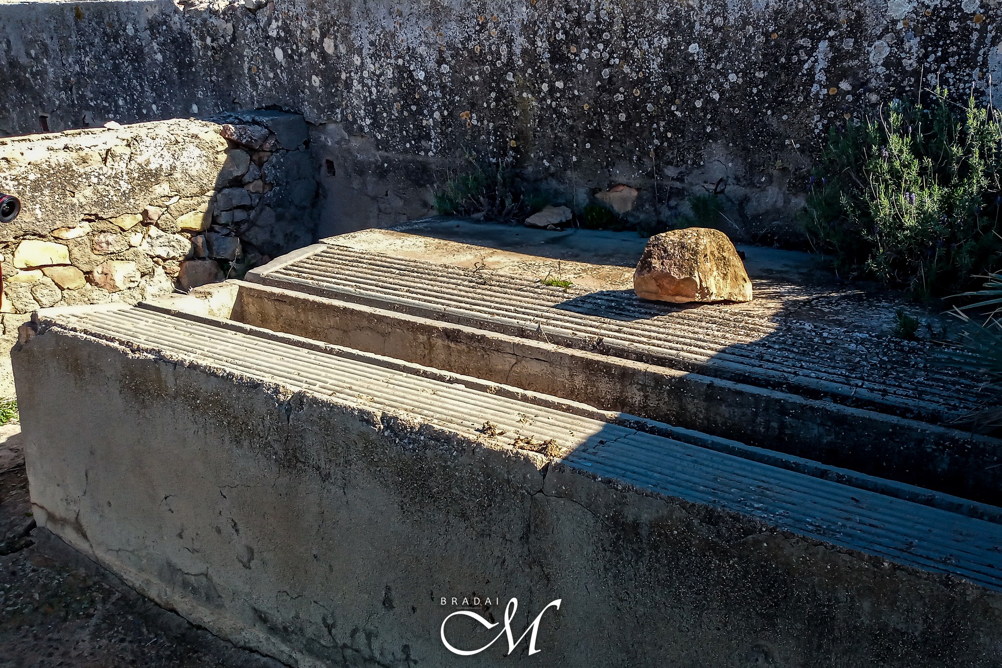 Ancienne cuve de lavage en béton à Bled ez Zriguat, Djebala