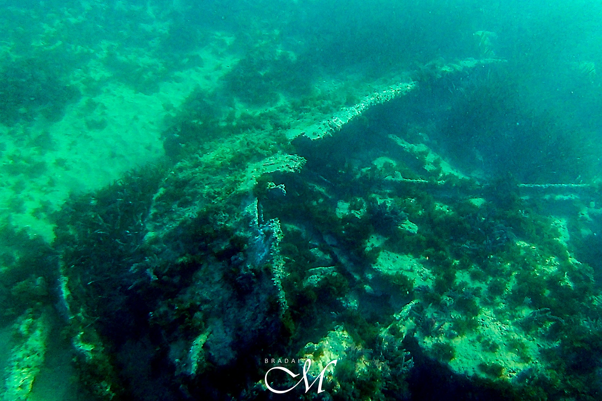 L'épave de Cretell et Cretecoal en Cap Rousseau, Oran