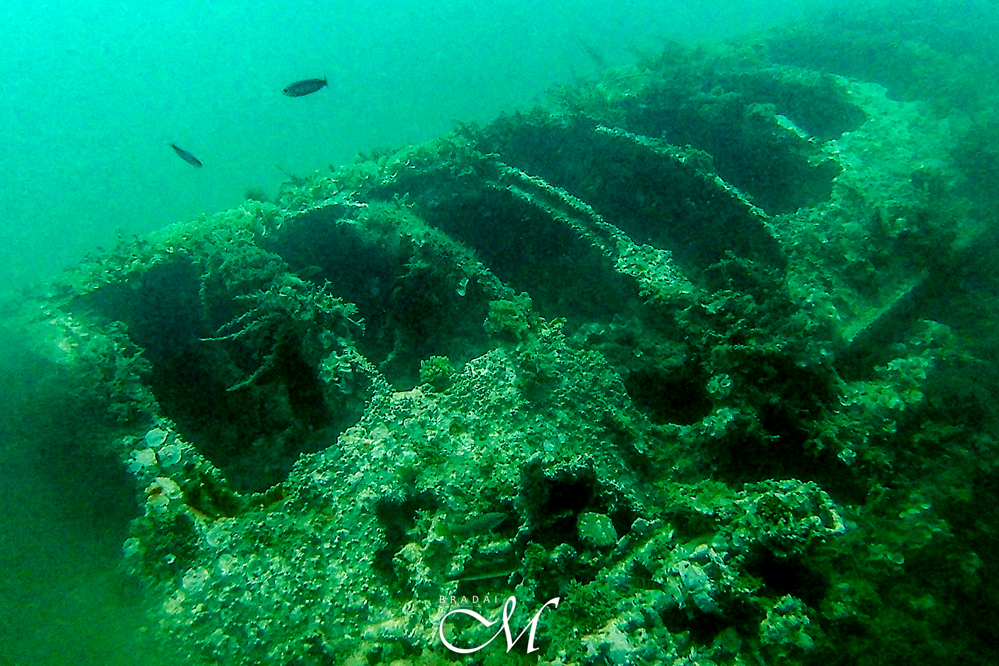 L'épave du sous-marin allemand U-595 à Achâacha, Mostaganem