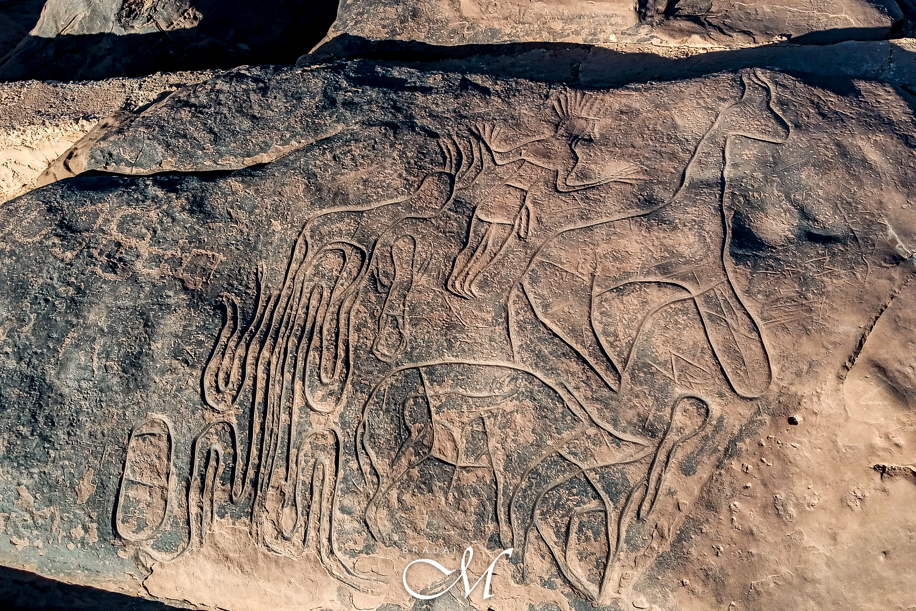 Les gravures rupestres préhistoriques de Oued Moghrar, Moghrar Tahtania.
