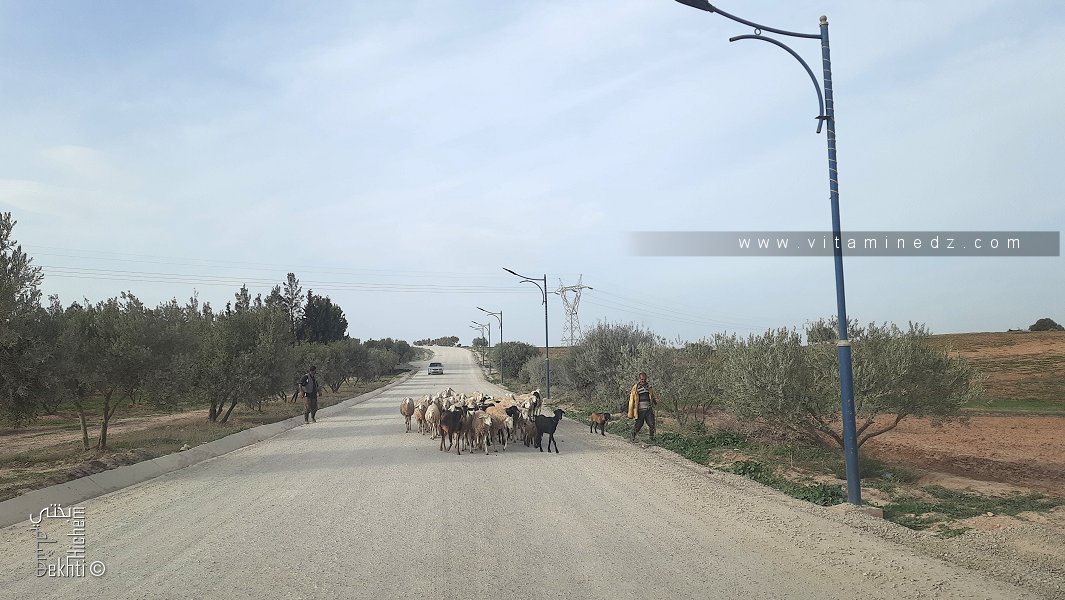 Route en cours de réalisation entre Ain Fettah et Fellaoucene
