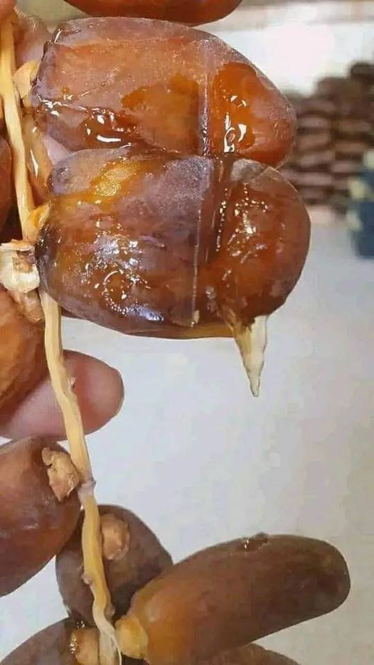 #دقلة_نور الجزائرية 💚