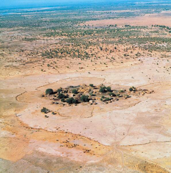 Planète (Tchad/Afrique) - Lac Tchad: Désertification, la poussière gagne du terrain