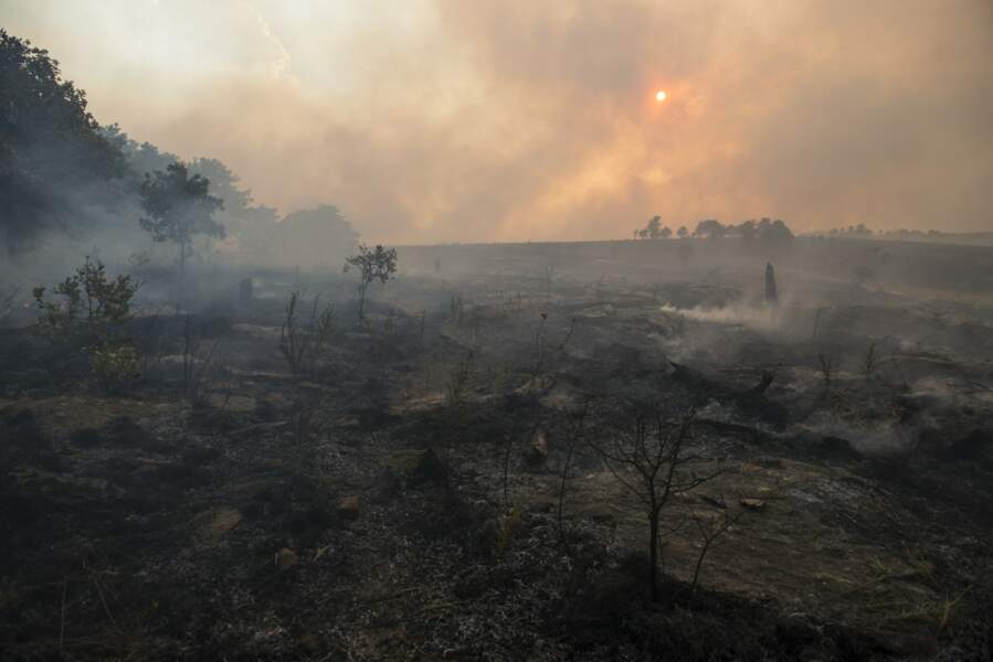 Planète - Sécheresse et incendies, des régions s’embrasent