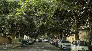 Rue ou avenue de la gare de Tlemcen