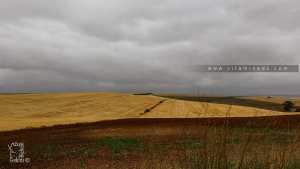 Terres agricoles de la Commune de Amieur (Tlemcen)