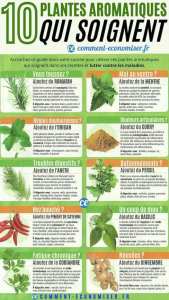 10 plantes aromatiques qui soignent