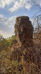 Fôret de Tlemcen, un Yardang