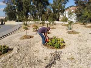 Planète (Constantine/Algérie/Afrique) - Djenane Ballout el Akhdar* ou  Jardin du Chêne vert