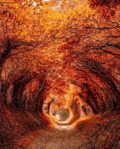 En attendre des jours meilleurs .