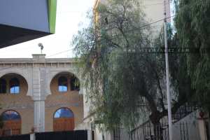 Nouvelle extension Mosque Imam Malik (Khemis El Khechna)