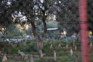 Cimetière Boudribila à Khemis El Khechna