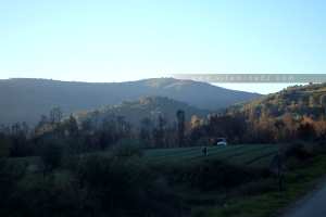 Champs agricoles et nature à la sortie de Khemis El Khechna