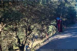 Poème dédié aux grand mères !