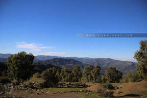 Fôret d'El Kahla (Labartache - W. Boumerdes)