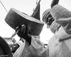 wa3det Moulay Tayeb El Bayadh