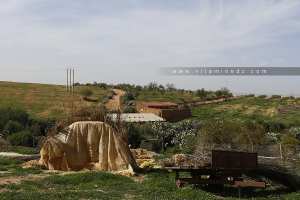 Petite exploitation agricole à Taslit (Commune de Sidi Abdelli)