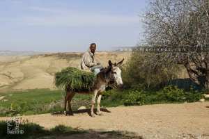 Habitant de Taslit (Sidi Abdelli)