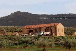 Exploitation agricole du coté d'El Bordj (Commune d'Amieur)