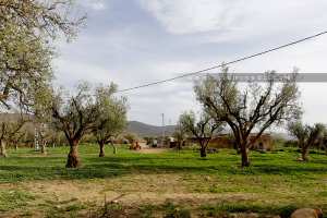 Exploitation agricole du coté d'El Bordj (commune Amieur)