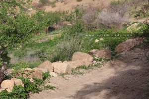 Pierres issues de Ksar Hannoun