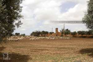 Ferme coloniale près de Ghouliemas