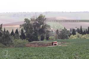 Oued Isser passant par des champs