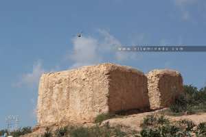 Sidi Ali Dounane (Commune d'El Fehoul)