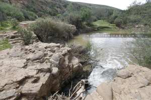 Vestiges d'un petit barrage sur l'Isser