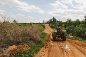 El Fehoul : Mazraat Sid Leuz