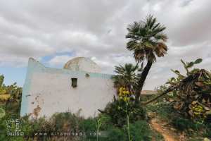 Darih (marabout) Sidi El Izz à El Fehoul ضريح سيدي العز بالفحول