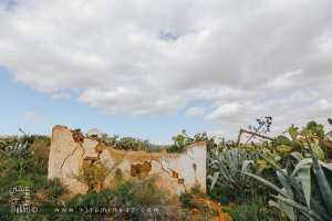 Hawita N°02 au cimetière Sidi Eleuz à El Fehoul