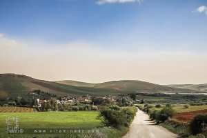 Douar Al M'qamat (Commune d'El Fehoul, Tlemcen)