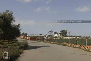 Route vers Sidi Ahmed