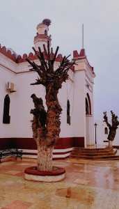 مسجد العتيق مدينة #افلو