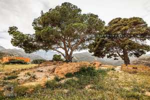 Le site archéologique de Honaïne  Dar El Imam