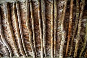 سقف مصنوع من عوارض خشبية قديمة في مسجد دشرت الجرامل الصغير