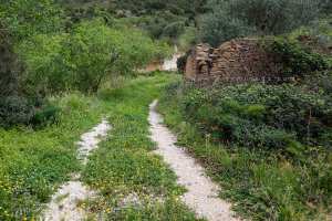 Entrée du petit Douar d'El Gramet