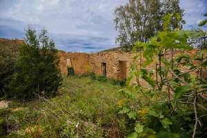 Village abandonné d'El Gramet (Honaïne)