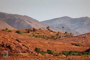 Gestion durable au Parc national de Djebel Aissa
