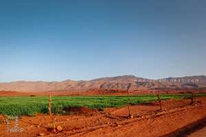 Parc national de Djebel Aissa et nouvelles extensions agricoles de Tiout